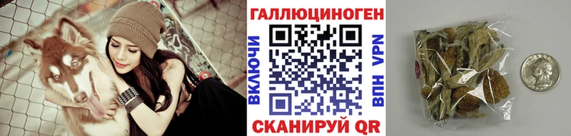 Галлюциногенные грибы мицелий цены Полярные Зори