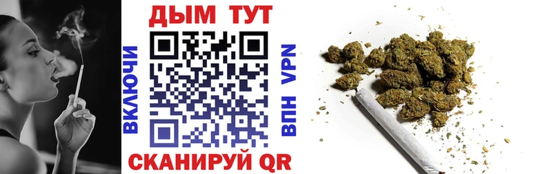 закладки  Полярные Зори  mega онион  Каннабис планчик 